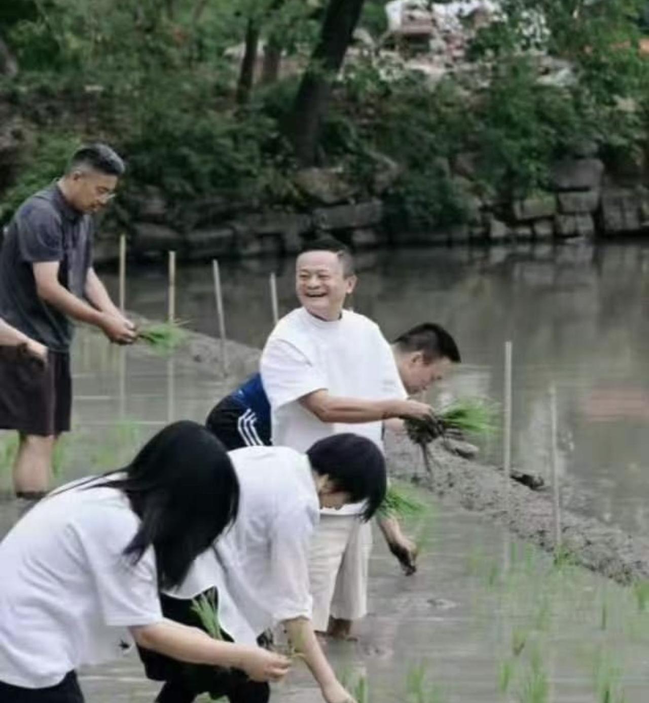 哎我去！刷到马云带领员工插秧，怡然自乐，人也胖了，发福了，和王建林的消瘦形成鲜明