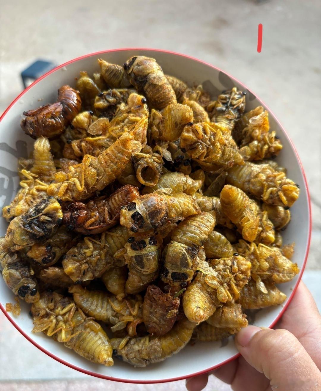 这两种美食，二选一，你会选哪个？​​​