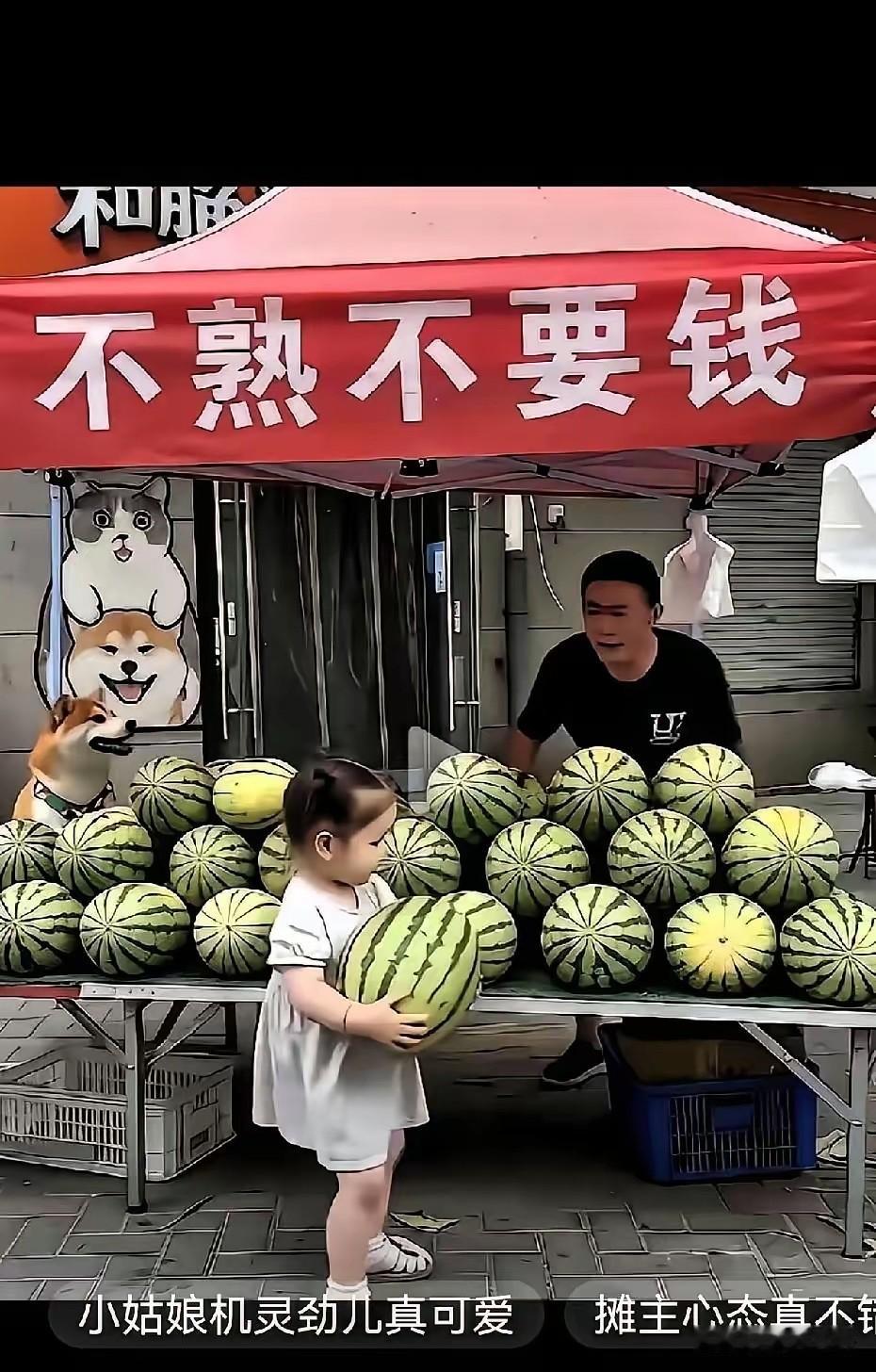 五岁小姑娘跑到西瓜摊前，仰头问：“叔叔你认识我吗？”摊主老刘笑着说不认识。小姑娘