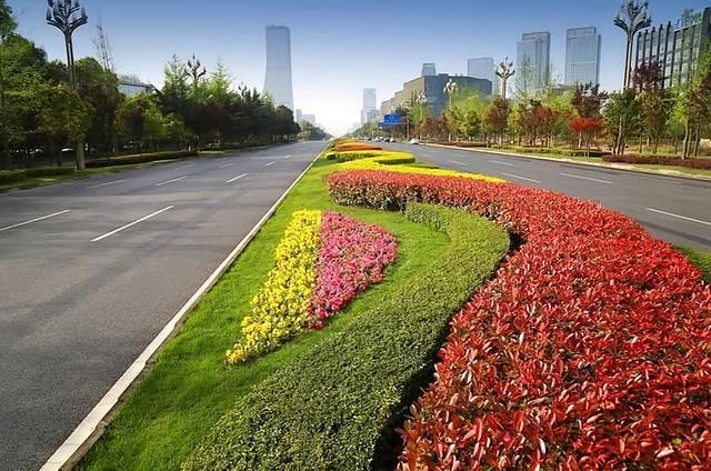 中国绿化带火遍海外！老外破防：这不是普通马路，是皇家园林谁能想到，咱们每天