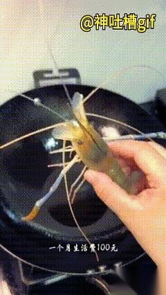 我勒个去！今天刷到个视频，简直刷新我的三观。你敢信吗，就一只虾！对，你没听错，就