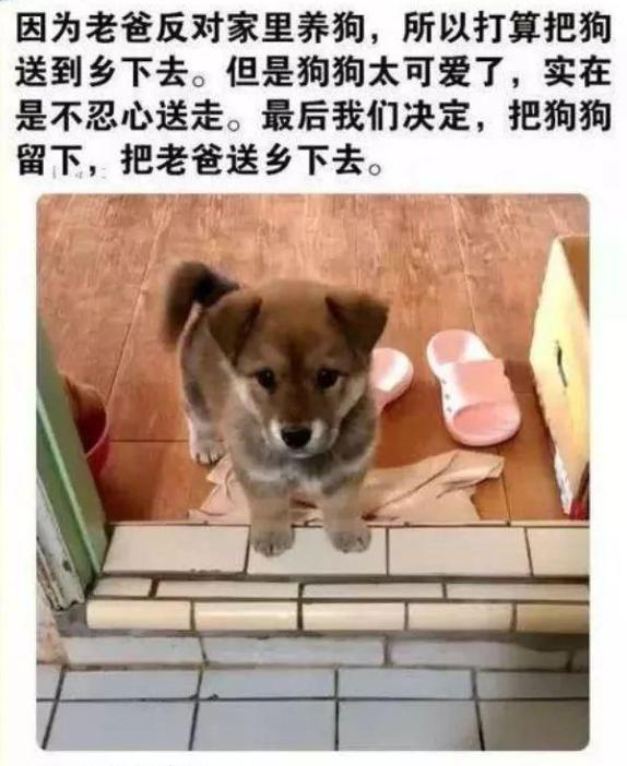 有时候，换个角度考虑问题，问题就会迎刃而解[捂脸哭][捂脸哭]
