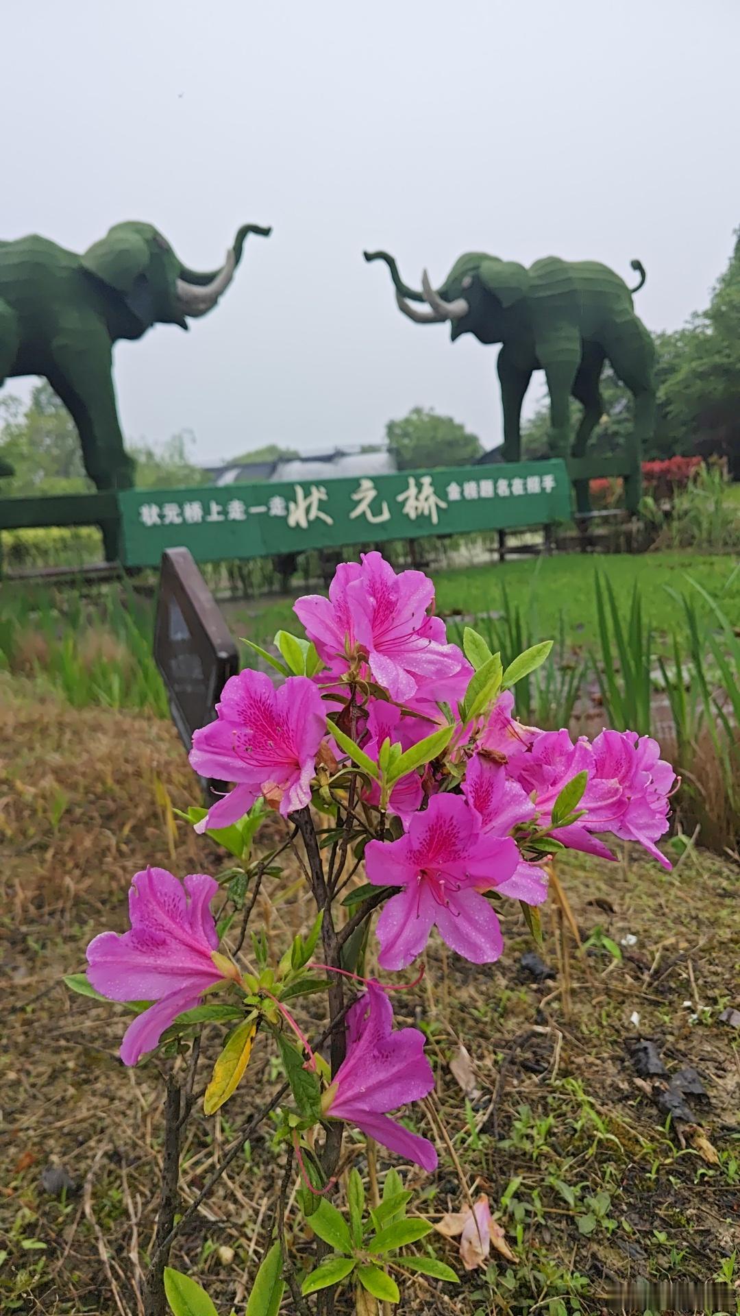 北汤旅游节来长兴北汤必打卡！走状元桥，接金榜好运！🌸长兴北汤状元桥浙江长兴旅
