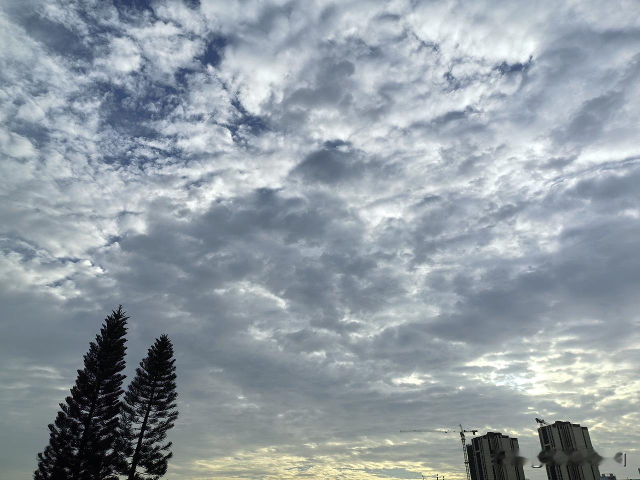 冷冷冷！冷空气抵达广东！携风带雨强势登场，全省气温骤降，小伙伴们需要注意添衣保暖