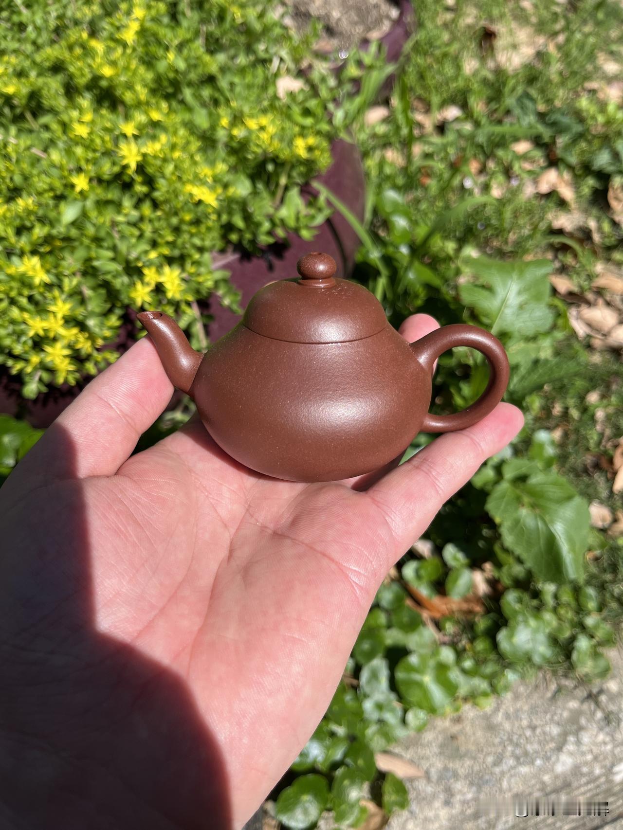 揭秘紫砂圈鄙视链：从泥料党到大师控，谁在收割你的钱包？每个行业都有不为人知的秘
