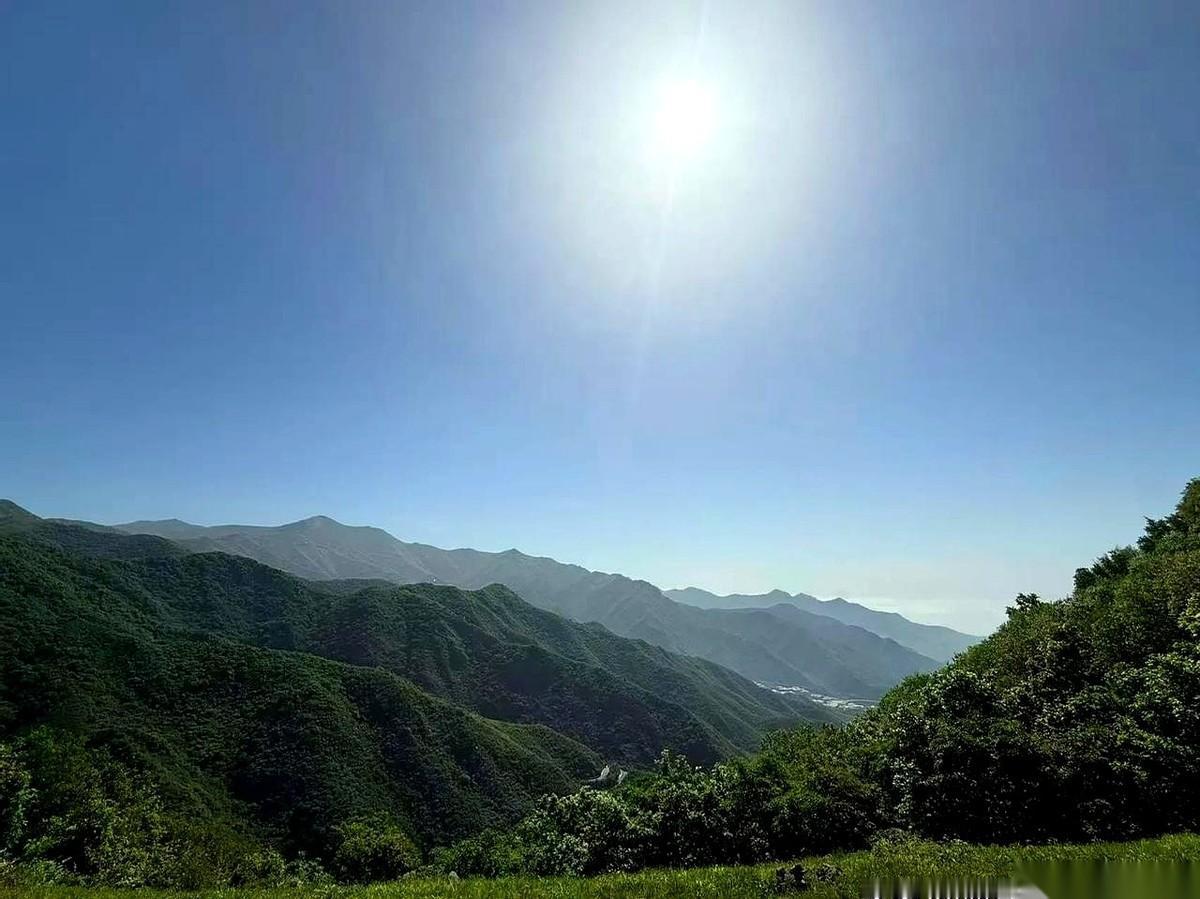 听一位足浴技师大姐讲了点真话。她说，现在这行，你手法再好，拿过什么奖，都没用。