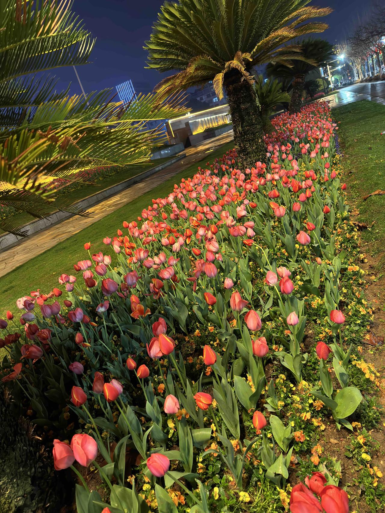 元宵节虽是春节的尾声，但老传统里讲究依然不少。🚫正月十五元宵节10大禁忌
