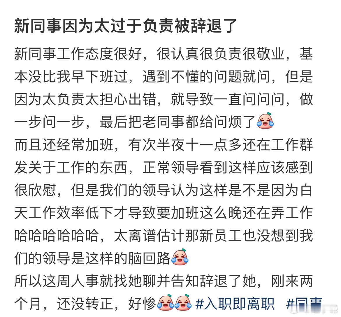 新同事因为太过于负责被辞退了