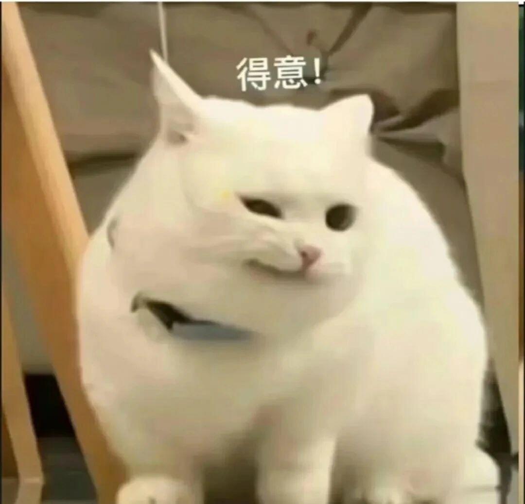 肖战车代明天预热，不需要从底层title升起不需要站台，空降就是最高出道10年爆