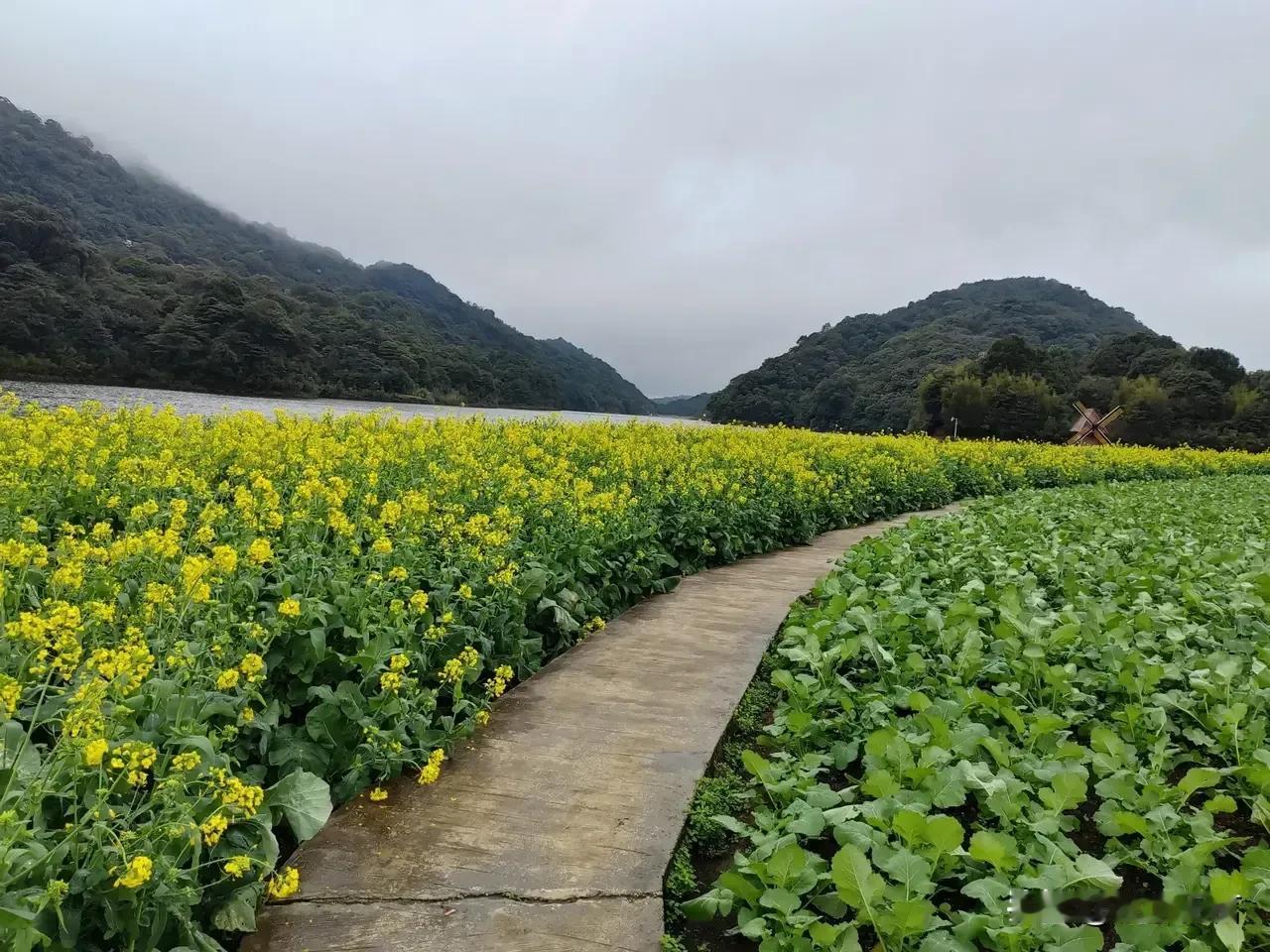 老一辈的父母，无私奉献的那种其实蛮悲哀的。年夜饭足足准备了两天，70多岁了，一点