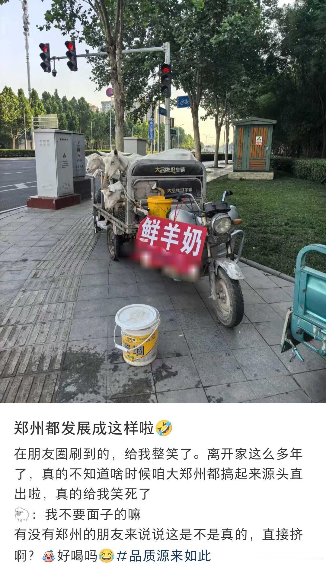 郑州还是太超前了！这是真的鲜羊奶，源头直出！​​​