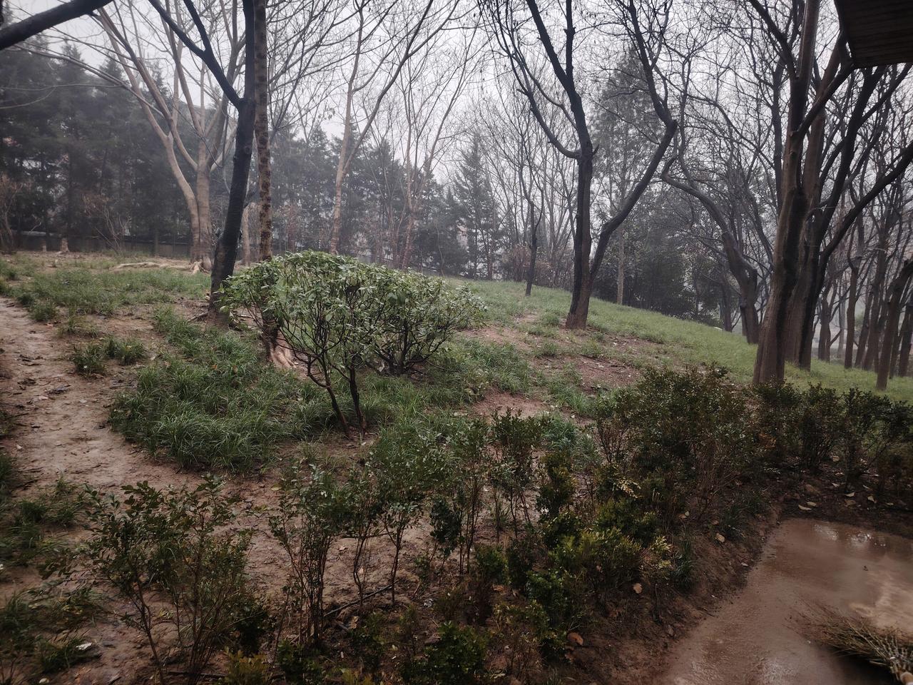 有一位老师在家长会上说了两句实话，就被家长举报到了校长那里，结果这位老师被停课了