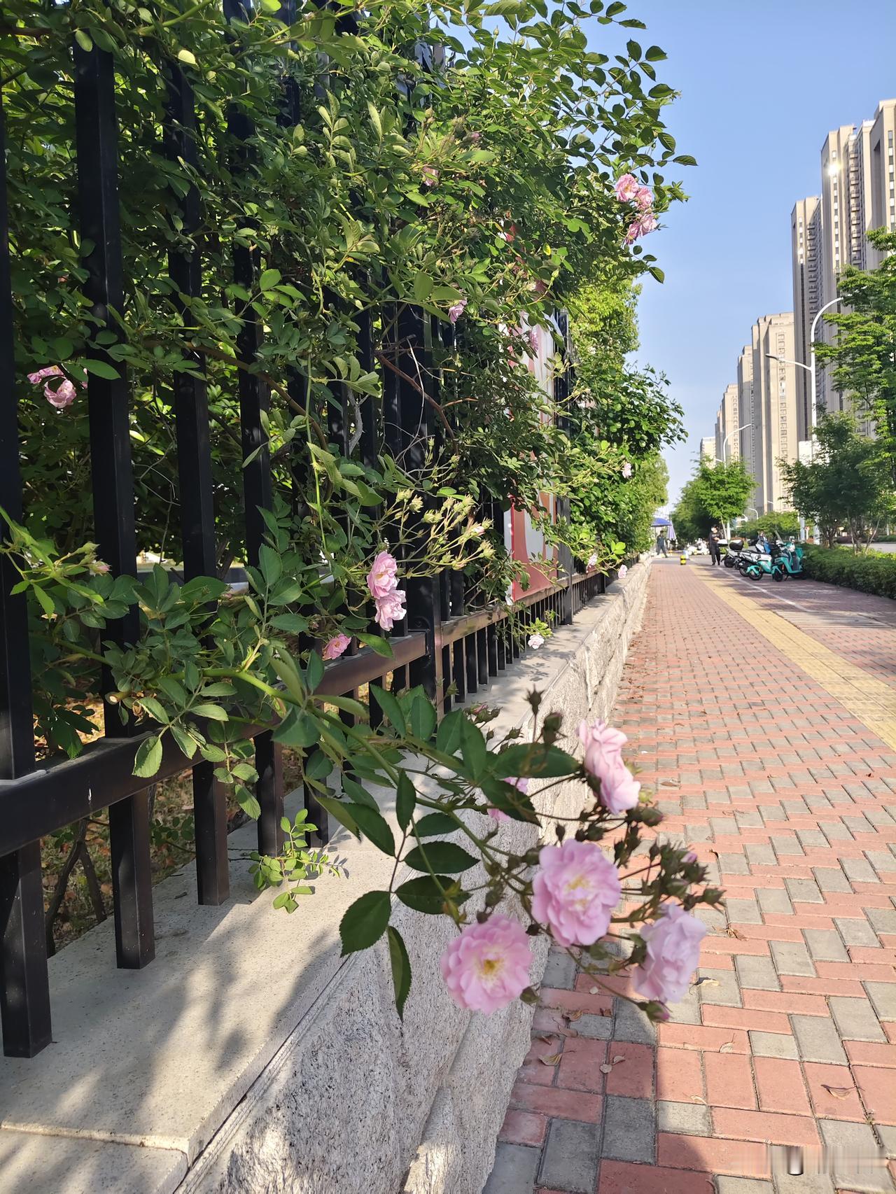 这世界上唯一能降服我的人就是我儿子。我是一个性格非常倔强的人，从小父母打我，