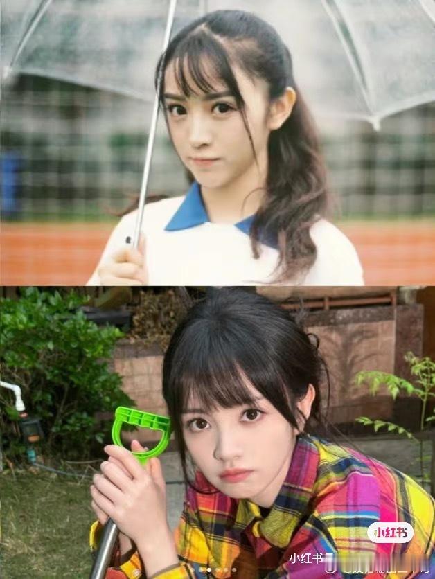 田曦薇现在是假发吗？早期头发也很稀疏啊