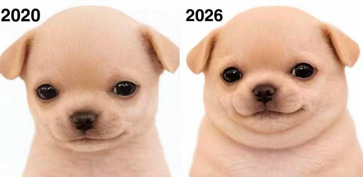 看看大家是不是都能对上号儿[捂脸哭][捂脸哭][捂脸哭]