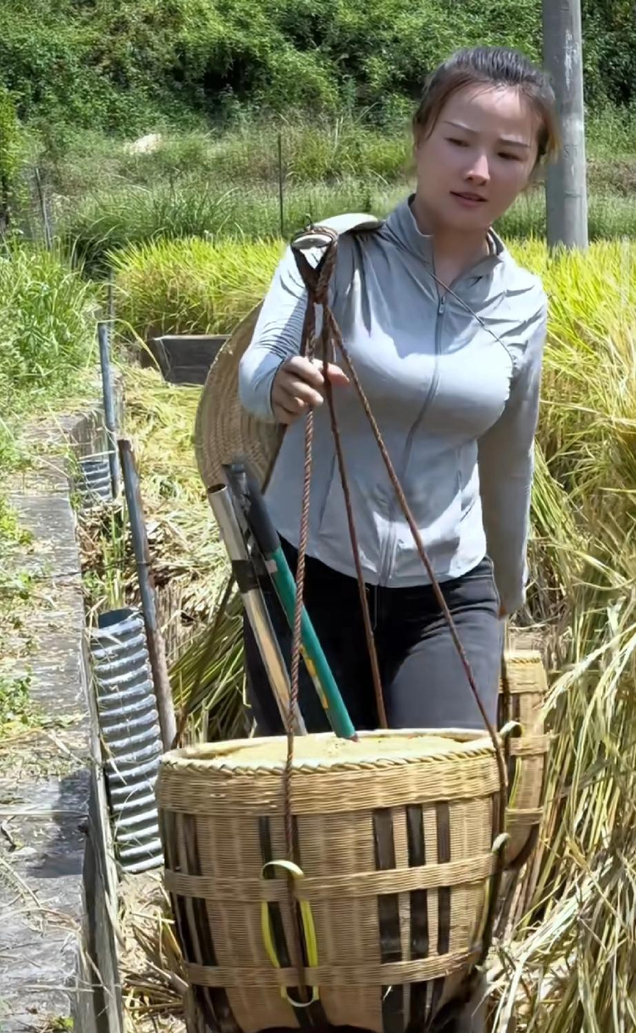 咱农村姑娘干活就是这么实在！你瞅这妹子，在稻田里挑着竹筐，那动作麻溜得很。灰