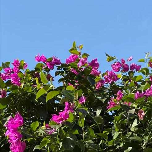 今天，武汉迎来新的政府主要负责同志。 该市是中部地区中心城市和经济中心，是G