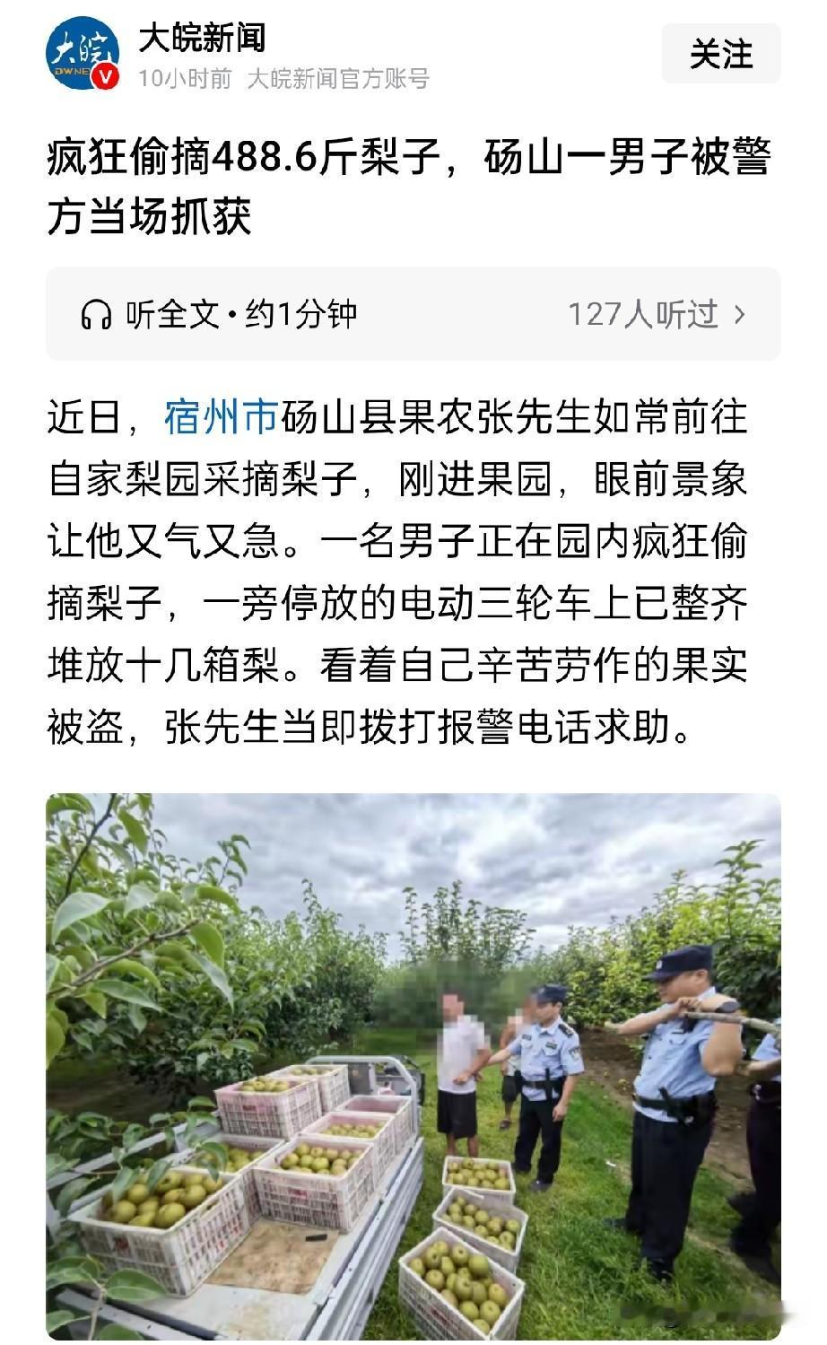 “你这是要断我活路啊！”宿州，大叔去果园看梨子成熟程度，结果，看到让他愤怒无比的