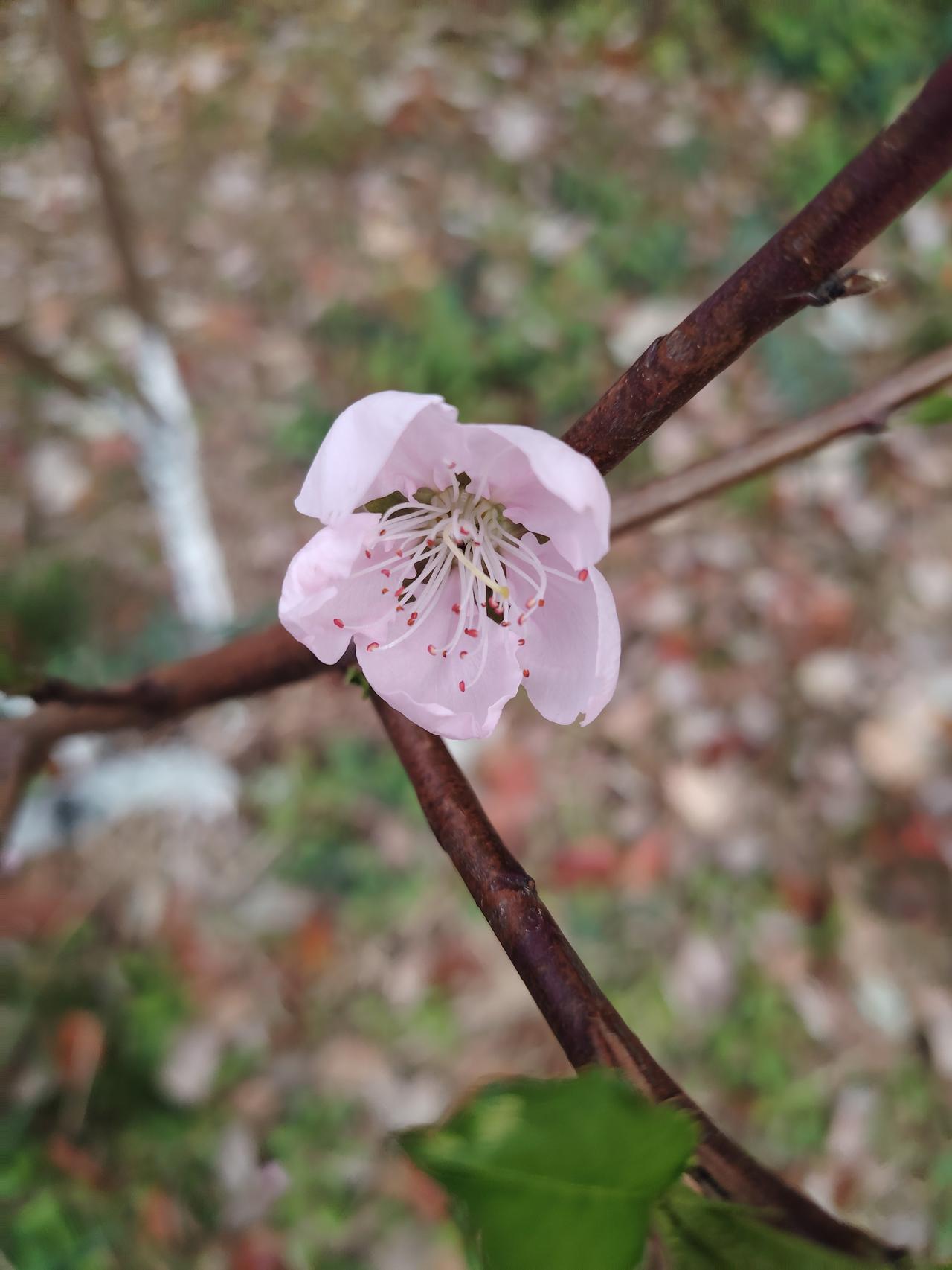 今天阳光正好，带着孩子去体验了街舞课。第一次接触，小家伙明显有些手忙脚乱，动