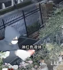 辽宁大连甘井子区万科溪之谷小区，81岁侯奶奶独自居住在二楼，子女日常很少陪伴，