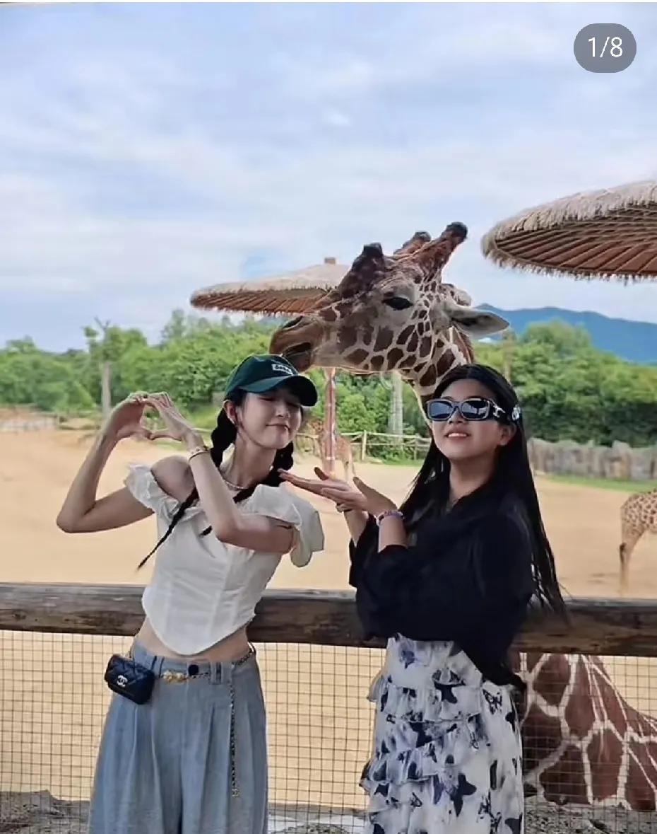 薇媄娅女儿的幸福感，不只因为她是江浙沪独生女。和维多利亚一样，自己拼命赚钱拼命