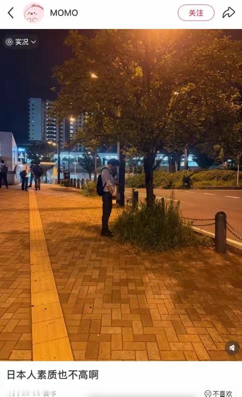 日本人素质高是需要定语的，镜头就是日本人高素质的定语别人镜头下的日本人和他们自己