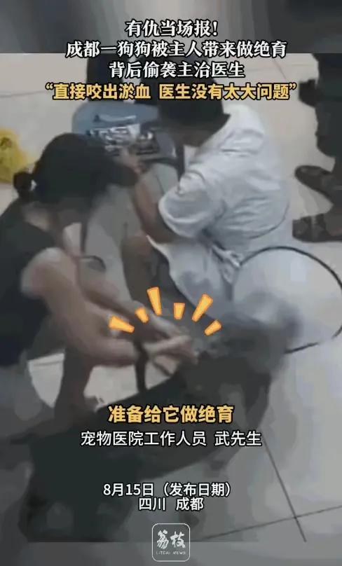 “有仇当场报！”8月15日媒体报道，成都一姐妹带狗子去噶蛋，抽血环节时，狗子突然