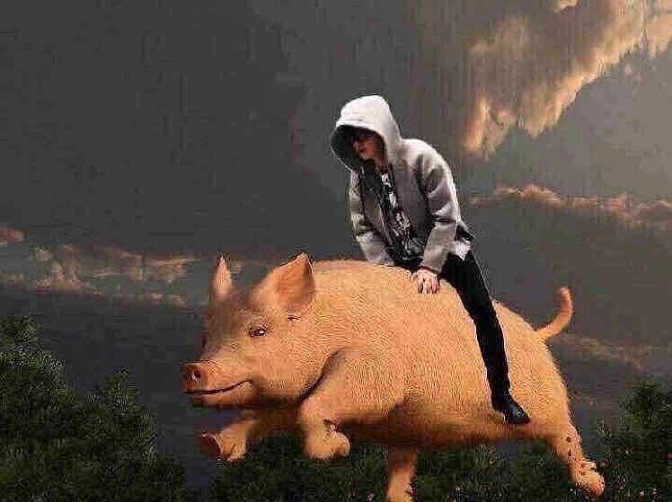 妖股——小盘+亏损+名字寓意炒名字：合富中国、人民同泰、华夏幸福、平潭发展、胜利