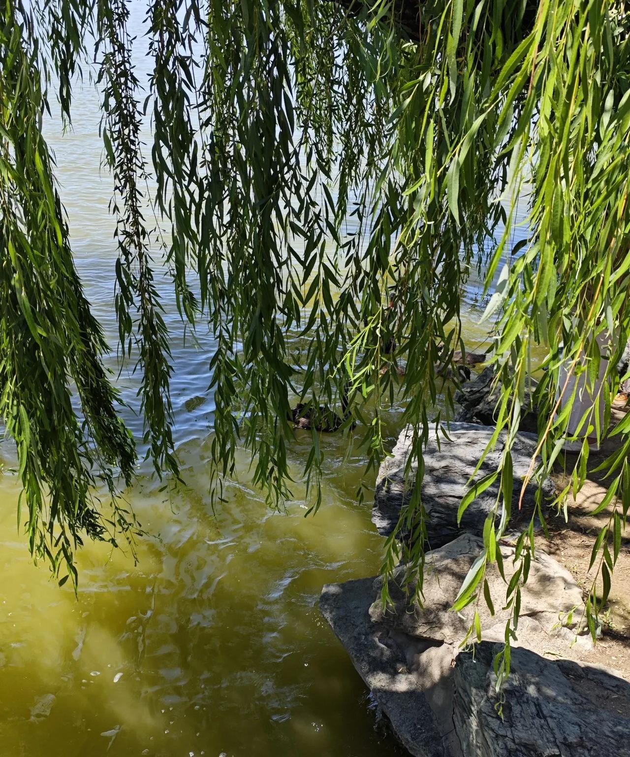 想不到多益网络的老板徐总竟然有过三观如此炸裂的言论？太奇葩了。最近因为他因为