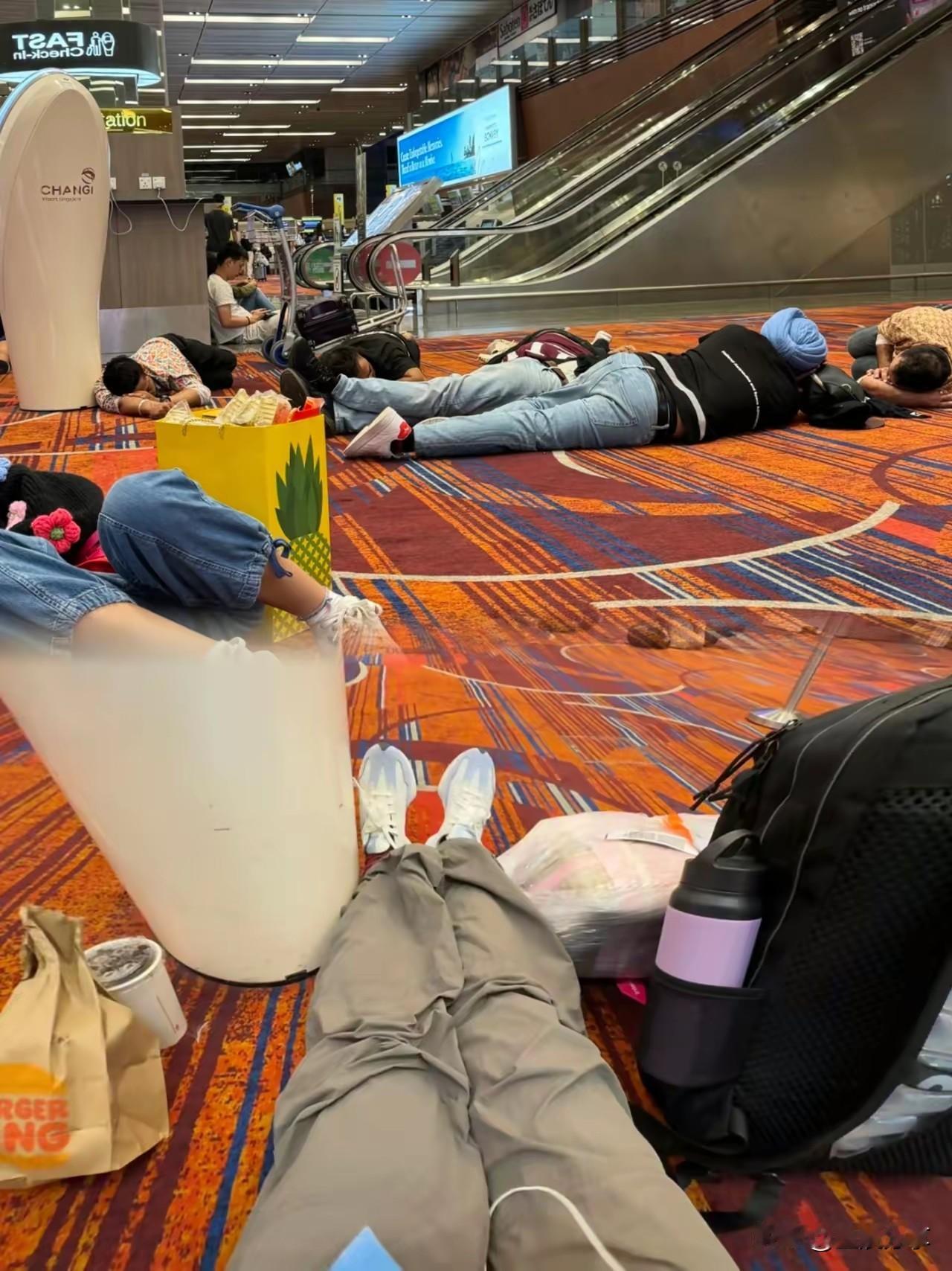 不听人劝，终遭大难这几天发生在日本的日本机场滞留事件引起了很多人的关注，因