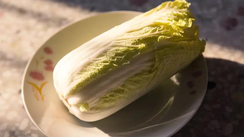 豆腐能和白菜一起吃，而且堪称绝配！豆腐高蛋白、低脂肪，富含钙质，对骨骼好；白菜富