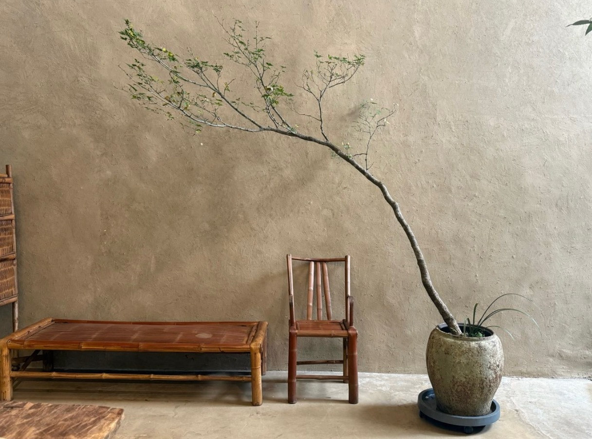 其实这样挺好的，每个人都有自己的节奏和轨迹，只有这样世界才丰富多彩。00后真的是