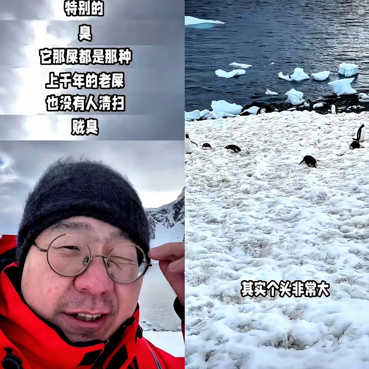 李诞毁了我的南极梦终于看懂了，为啥李诞去了一趟南极，把网友们的“南极梦”全