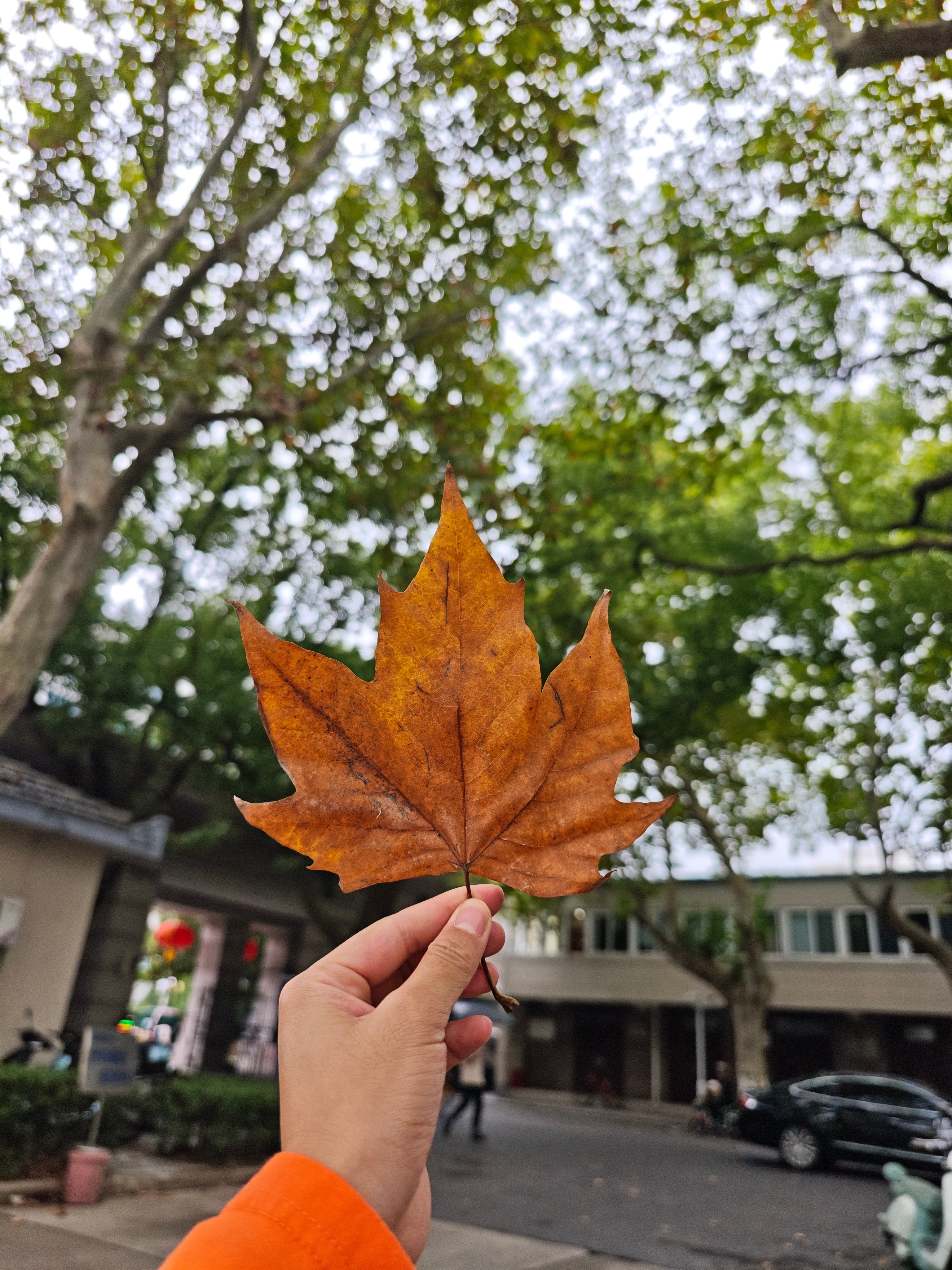 没什么想说的