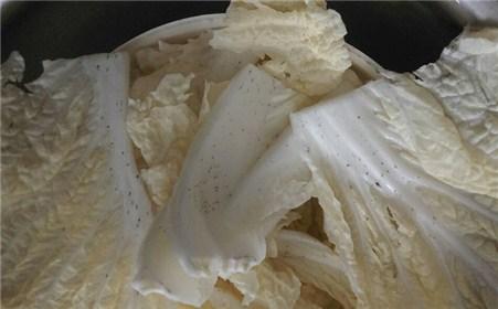 大白菜有黑点还能吃吗? 教你如何挑选