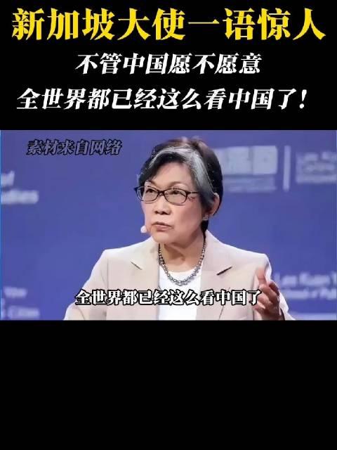 新加坡大使一语惊人：不管中国愿不愿意，全世界都已经这么看中国了！7月6日这一