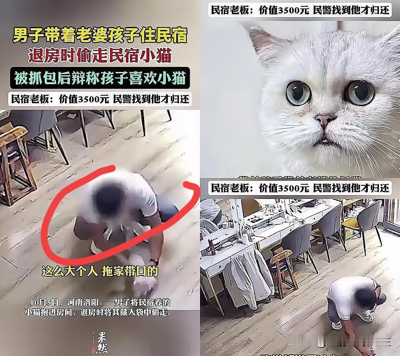 手都凉了！民宿老板调取监控时看到窒息一幕——那对带着孩子住了两天的夫妻，临走前竟