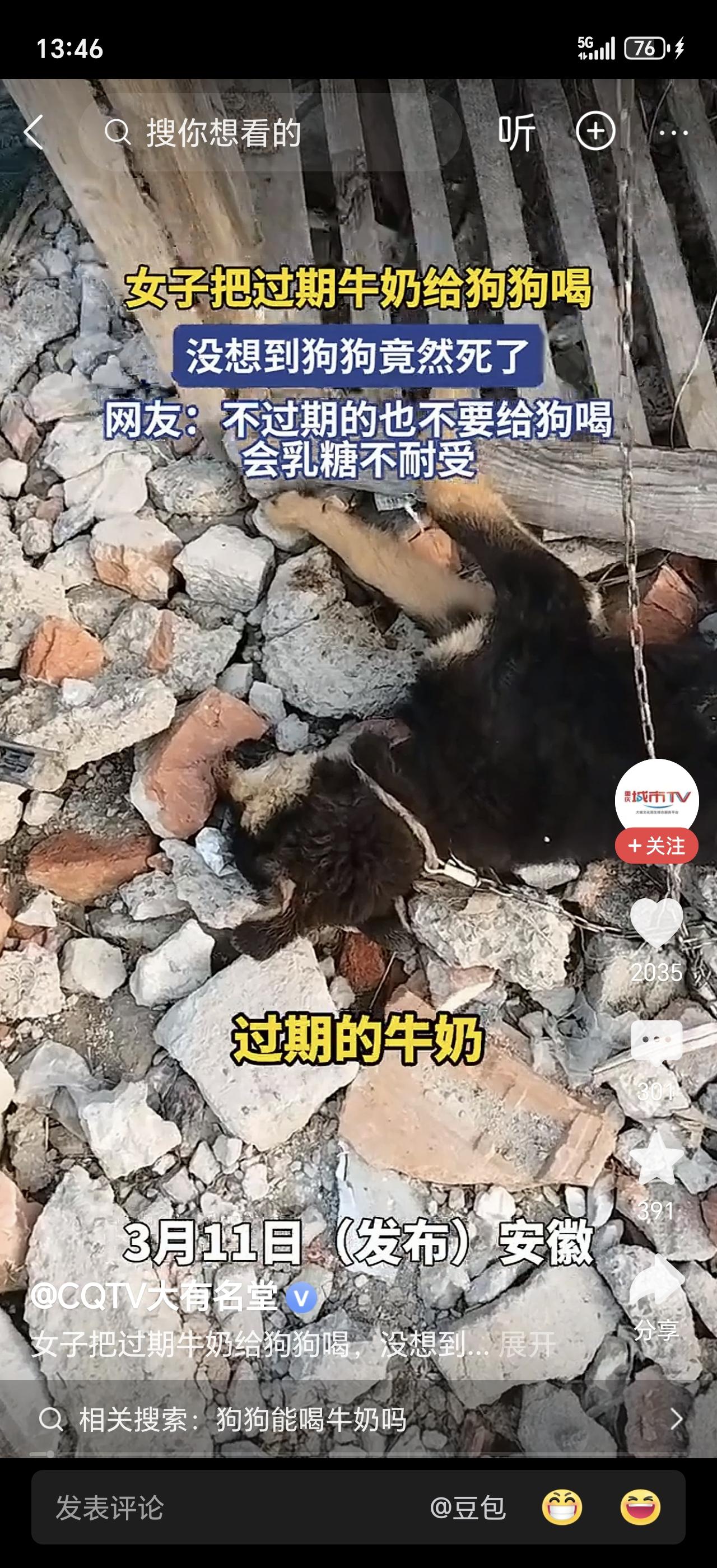 警惕！浙江一女子好心办坏事，把过期一周的牛奶倒给狗喝，结果短短几小时狗狗就没了！