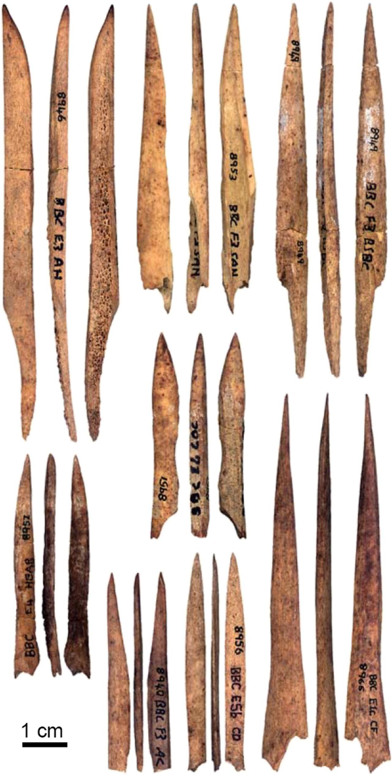 人类是什么时候开始穿衣服的？目前主流观点认为是17万年前。基因研究确定人类最早