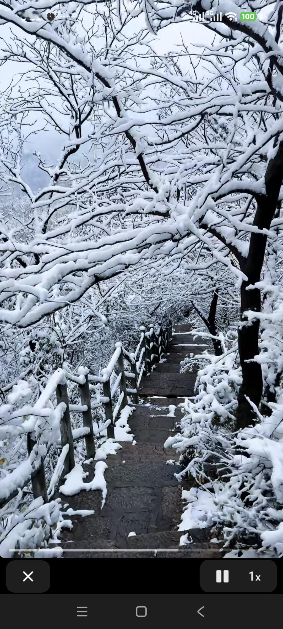 冬日生活打卡季河南南阳的第一场雪景