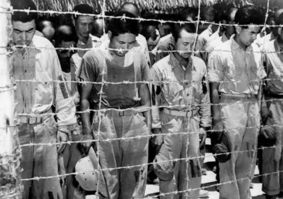 1945年，日军被苏联红军被押往了寒冷的西伯利亚。后来，活下来的日军战俘哭着回忆
