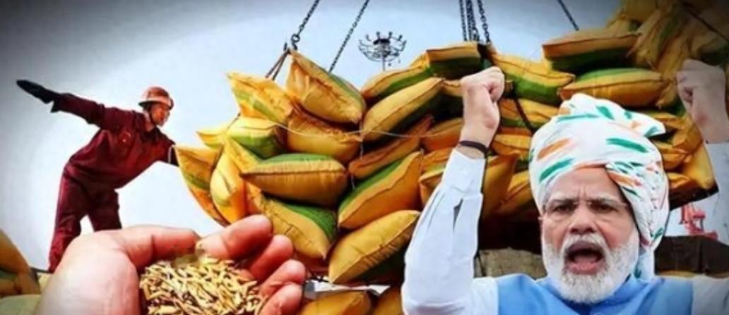 中印两国都顶着14亿人口的盘子，粮食账却算出了截然不同的结果：中国年产7亿吨粮还