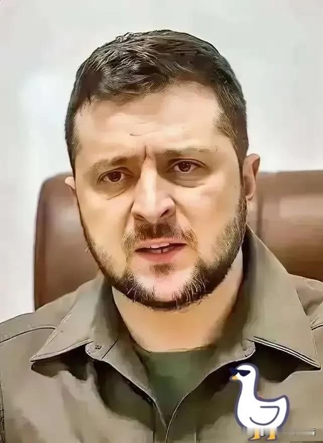 就在刚刚泽连斯基突然宣布了10月22日，乌克兰总统泽连斯基宣布消息，他说乌