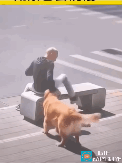 不懂就问，这个视频是AI合成的吗？