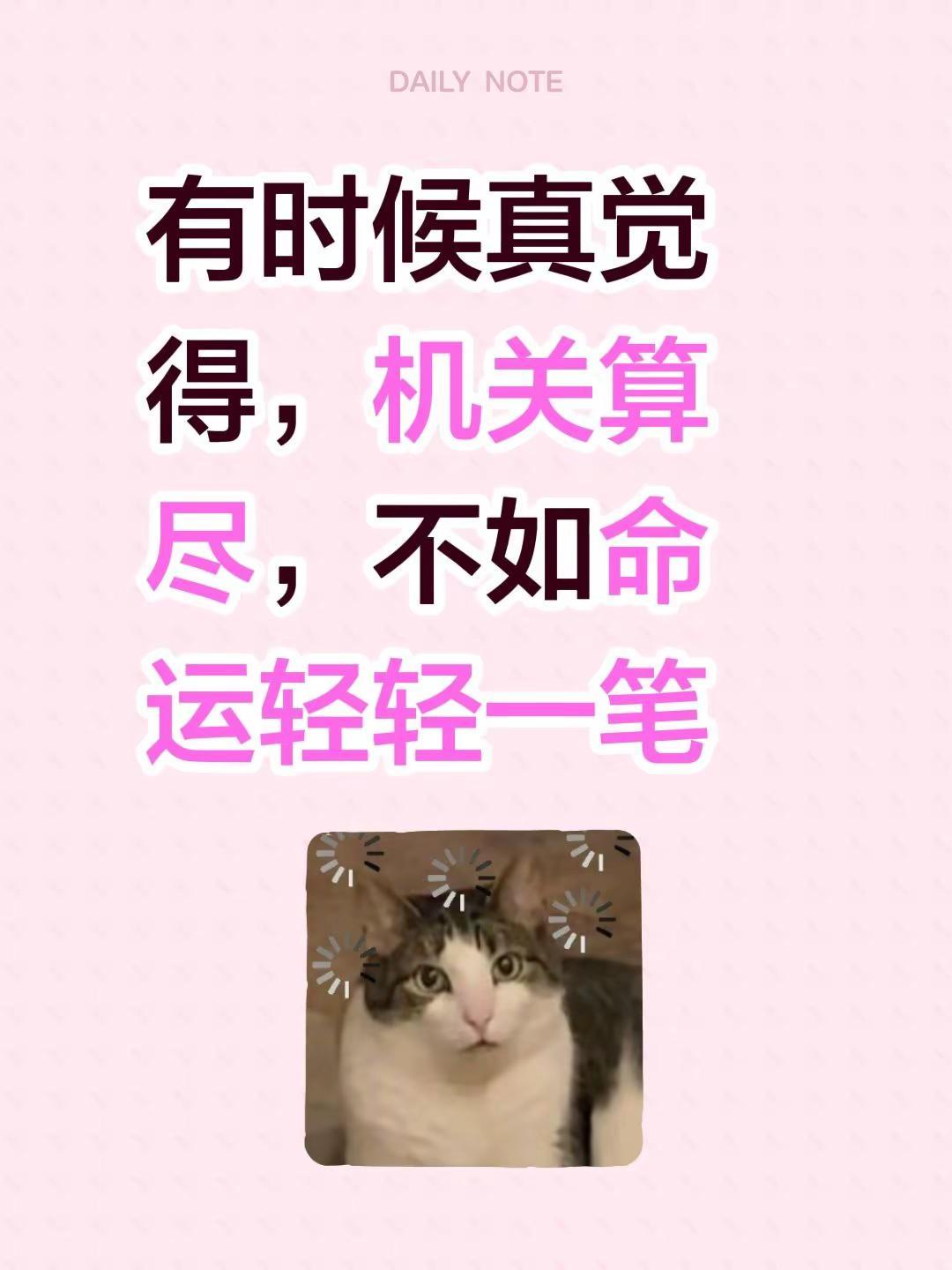 有时候真觉得，机关算尽，不如命运轻轻一笔