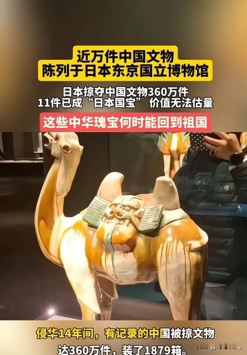 中国强硬追索被日掠夺文物，捍卫的是民族根脉与国际公理中国继续给日本上强度，