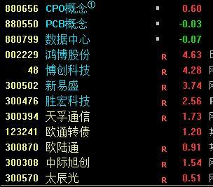 这地位，这梯队，杂毛就系杂毛​​​