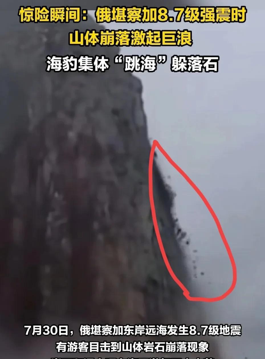 海豹集体“跳海”！躲避俄8.7级大地震引起的山体崩裂！画面太过惨烈！俄勘察东海