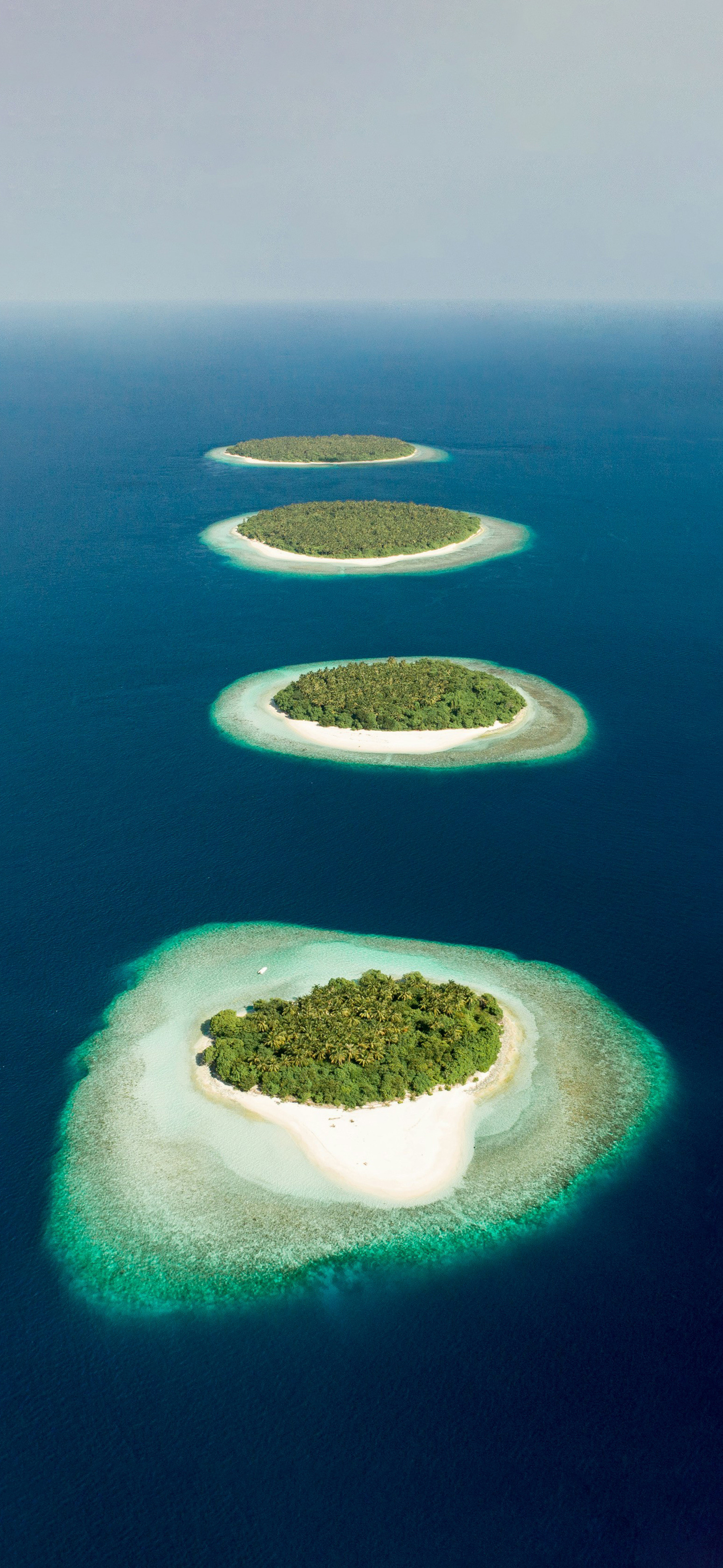 莱分享今日iPhone壁纸分享·2