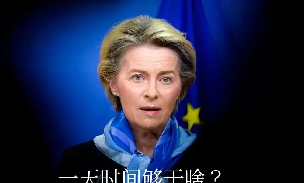 冯德莱恩为什么先去日本？我觉得是中国限制电池核心技术出口，这下欧洲还怎么玩新能源